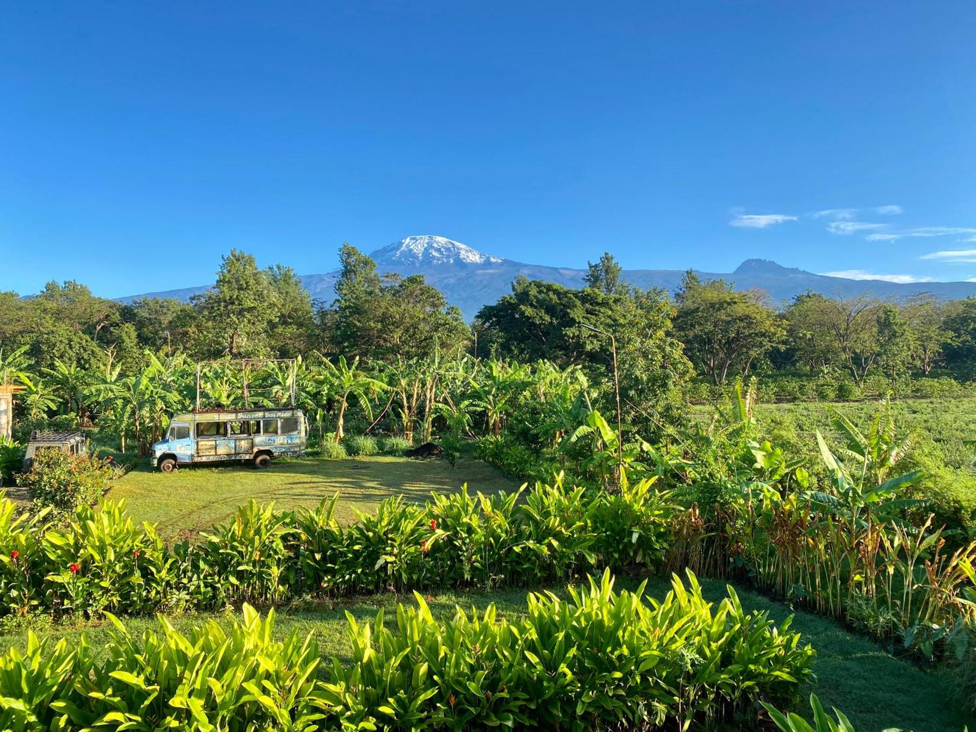 Mount Kilimanjaro 360 View Cottage Uru Exterior foto