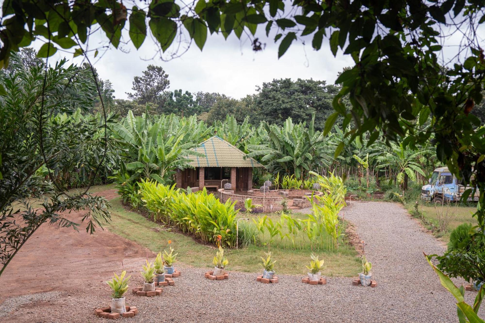 Mount Kilimanjaro 360 View Cottage Uru Exterior foto